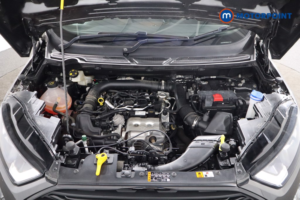 Ford Ecosport St-Line Manual Petrol SUV - Stock Number (1566039) - 28th supplementary image