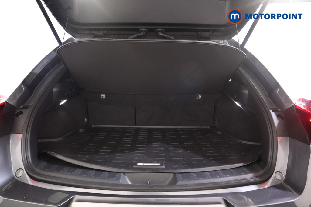 Lexus UX F-Sport Automatic Petrol-Electric Hybrid SUV - Stock Number (1579218) - 13th supplementary image
