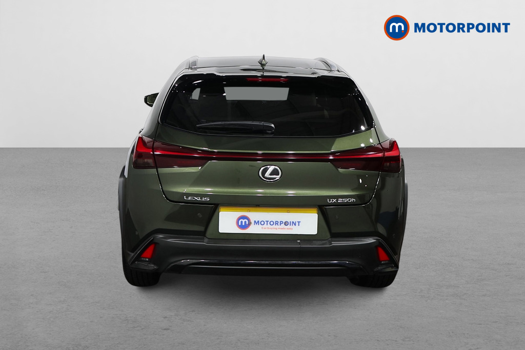 Lexus UX F-Sport Design Automatic Petrol-Electric Hybrid SUV - Stock Number (1589857) - Rear bumper