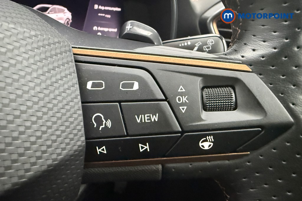 Cupra Formentor V2 Automatic Petrol SUV - Stock Number (1597002) - 15th supplementary image