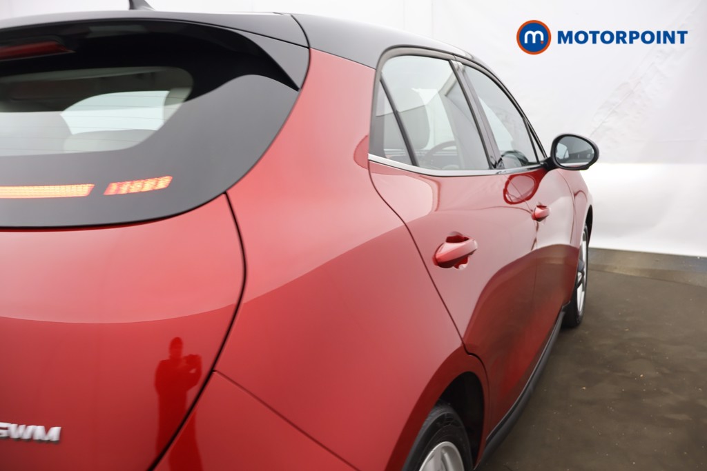 Gwm Ora Ora Funky Cat First Edition Automatic Electric Hatchback - Stock Number (1598275) - 32nd supplementary image