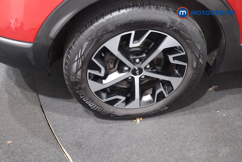 KIA Sportage Launch Edition Manual Petrol SUV - Stock Number (1602854) - 13th supplementary image