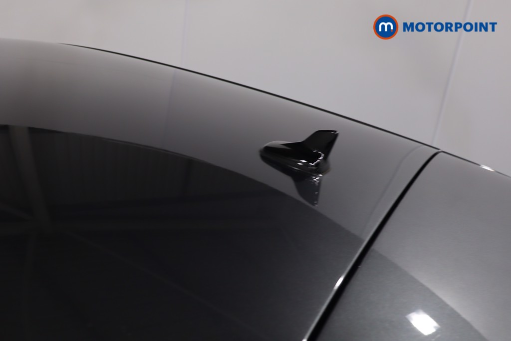 Seat Ibiza Xcellence Lux Automatic Petrol Hatchback - Stock Number (1604228) - 36th supplementary image