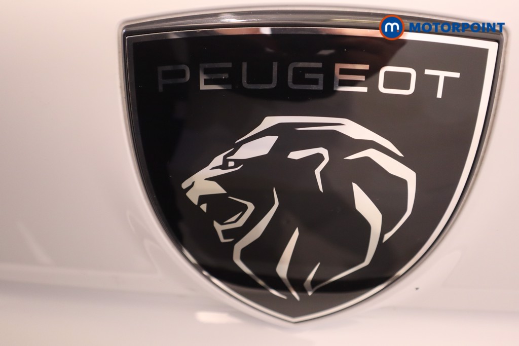 Peugeot Expert Professional Manual Diesel Panel Van - Stock Number (1619574) - 32nd supplementary image