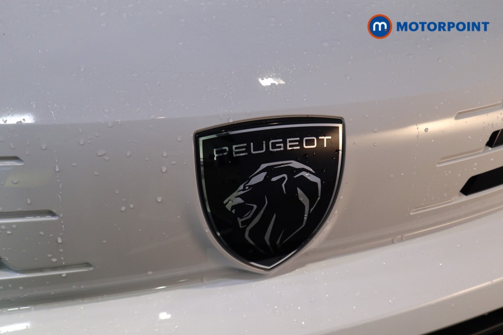 Peugeot Expert Professional Manual Diesel Panel Van - Stock Number (1614969) - 34th supplementary image