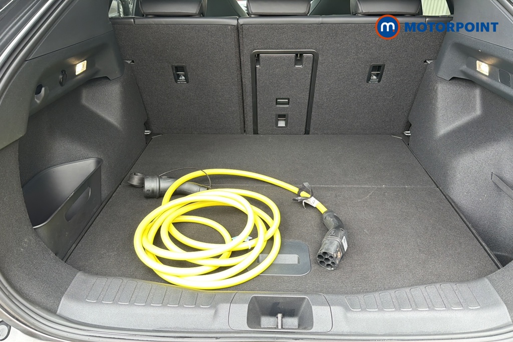 Ford Capri Premium Automatic Electric SUV - Stock Number (1643876) - 34th supplementary image