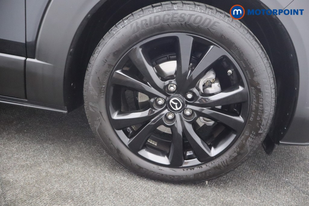 Mazda Cx-30 Homura Automatic Petrol SUV - Stock Number (1656992) - 21st supplementary image