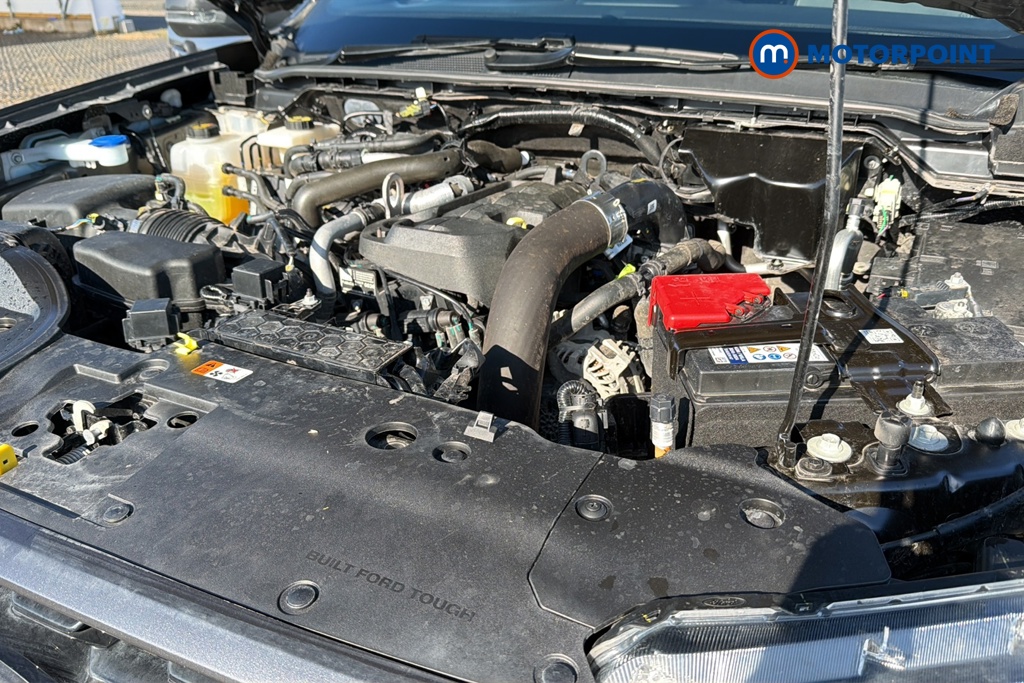 Ford Ranger Wildtrak Automatic Diesel Double Cab Pick-Up - Stock Number (1660235) - 48th supplementary image