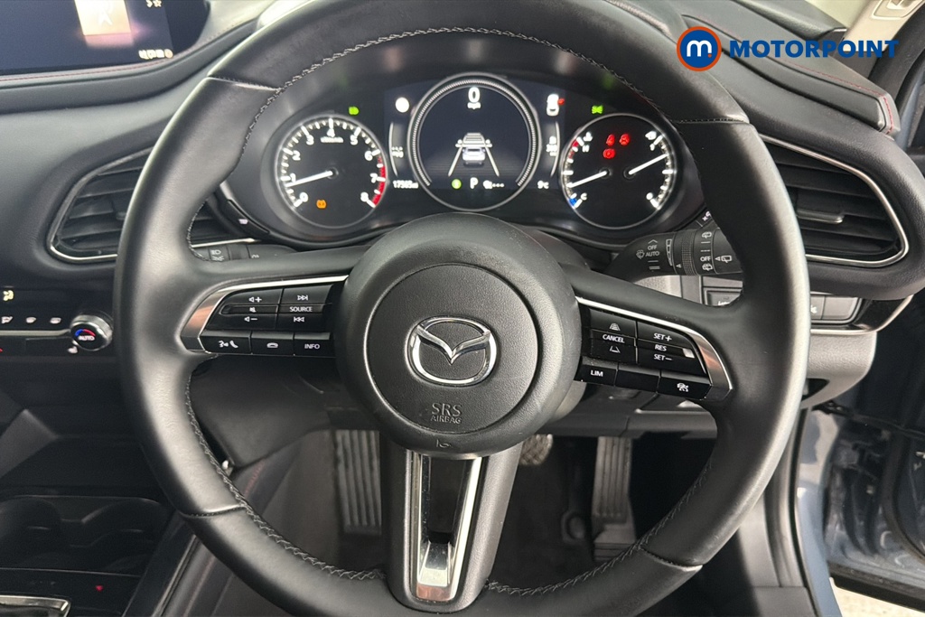 Mazda Cx-30 Homura Automatic Petrol SUV - Stock Number (1689748) - 2nd supplementary image